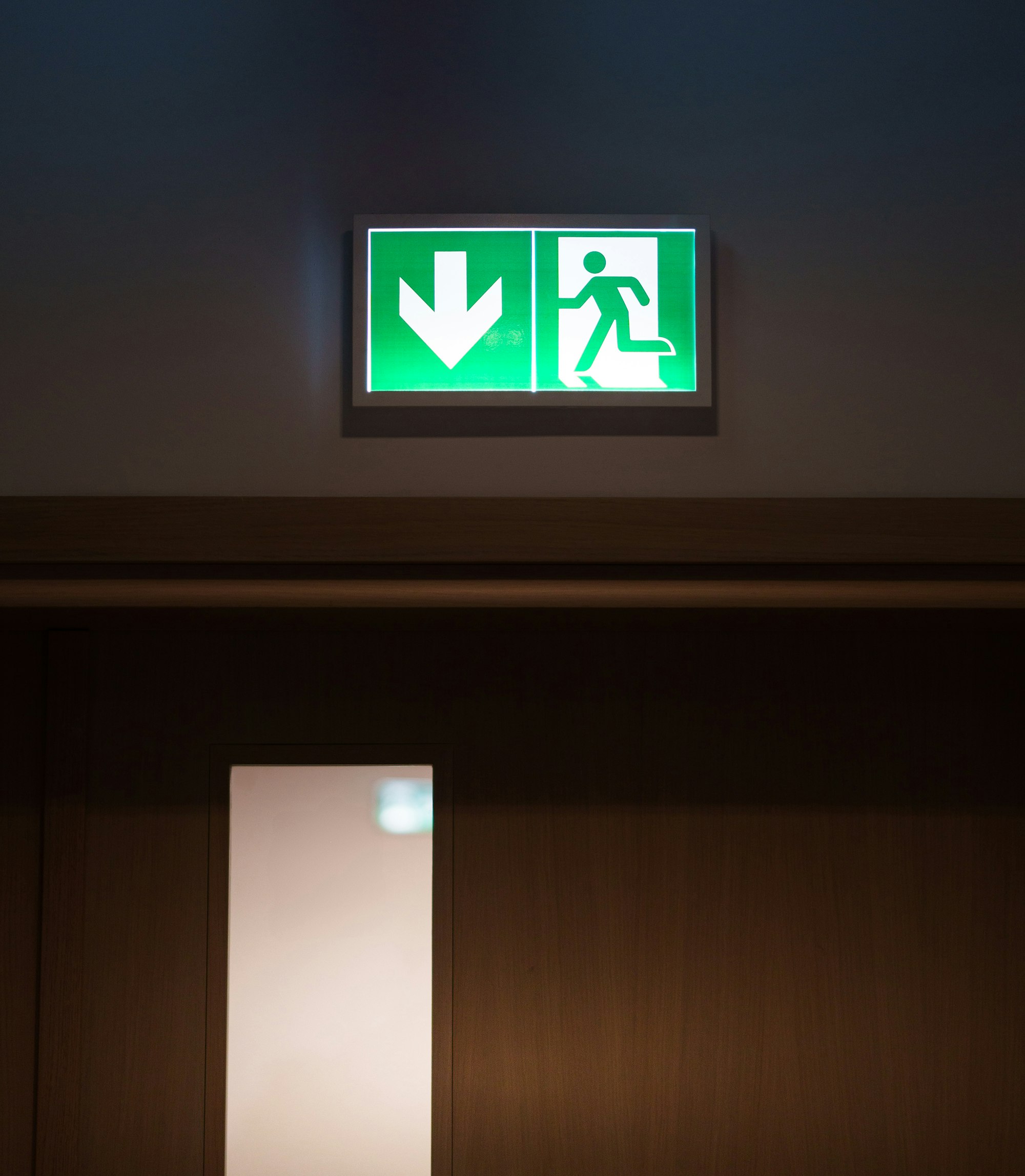 Illuminated emergency exit sign
